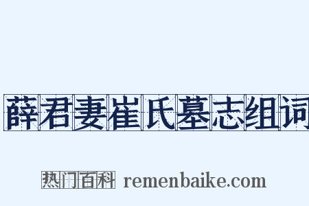薛君妻崔氏墓志组词是什么意思的图片